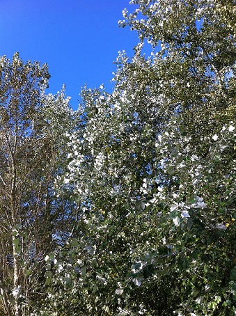 Speelruimte (deel 1)