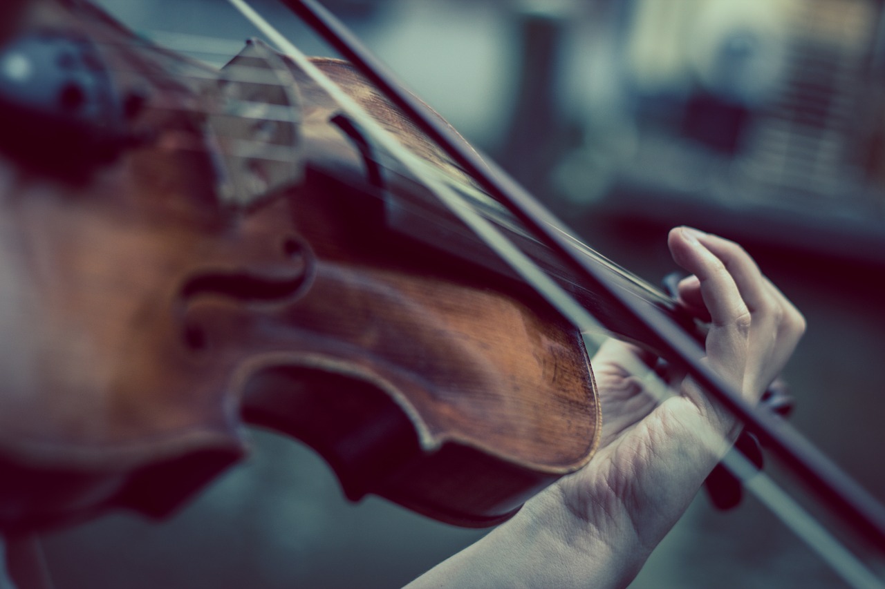 De violist